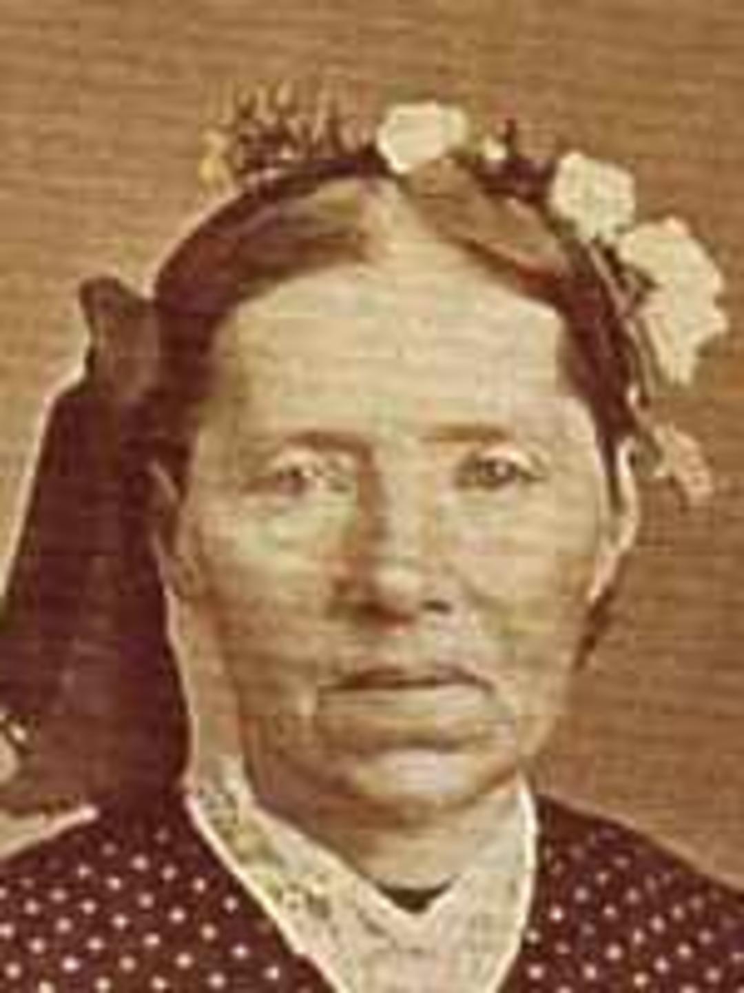 Kersten Sondergaard Nielsen (1820 - 1886) Profile